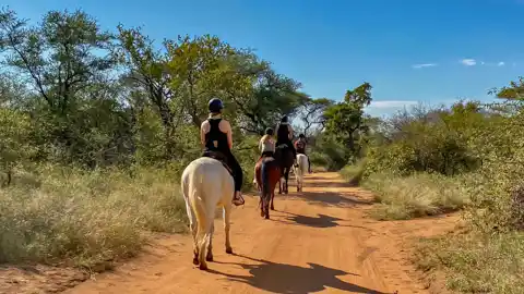 African Safari Adventures