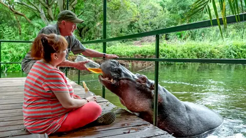 African Safari Adventures